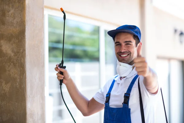 American Canyon Wasp Removal