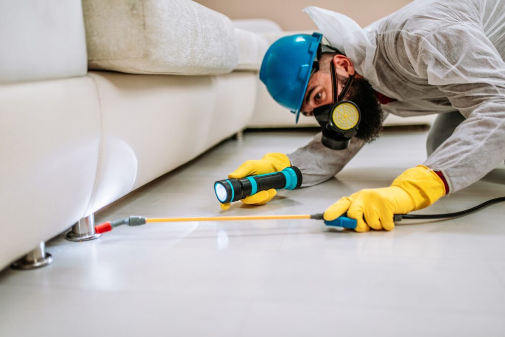 American Canyon Termite Control