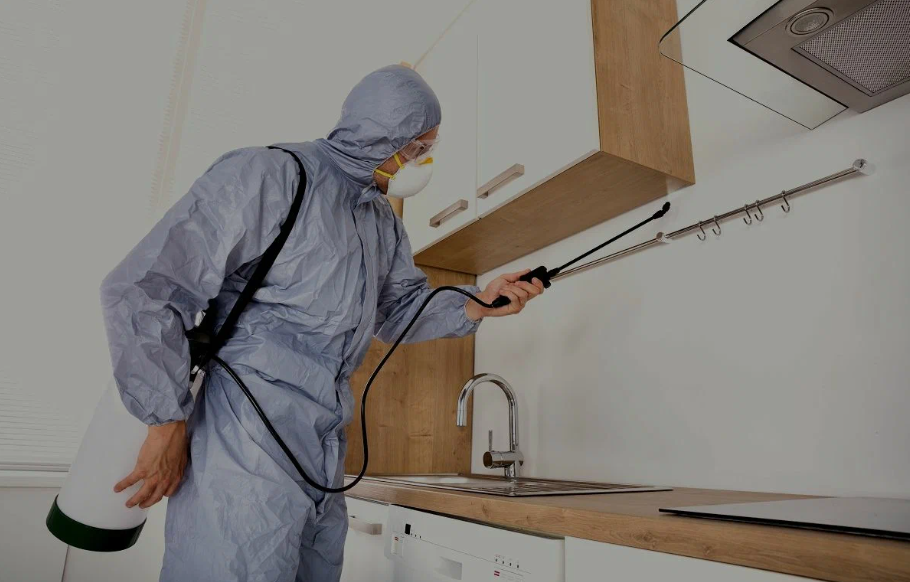 American Canyon pest managment